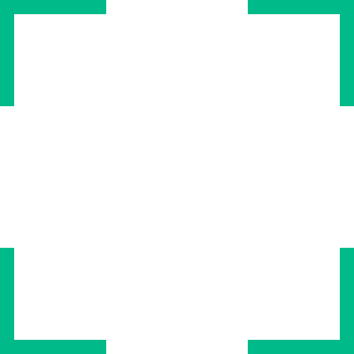 Network